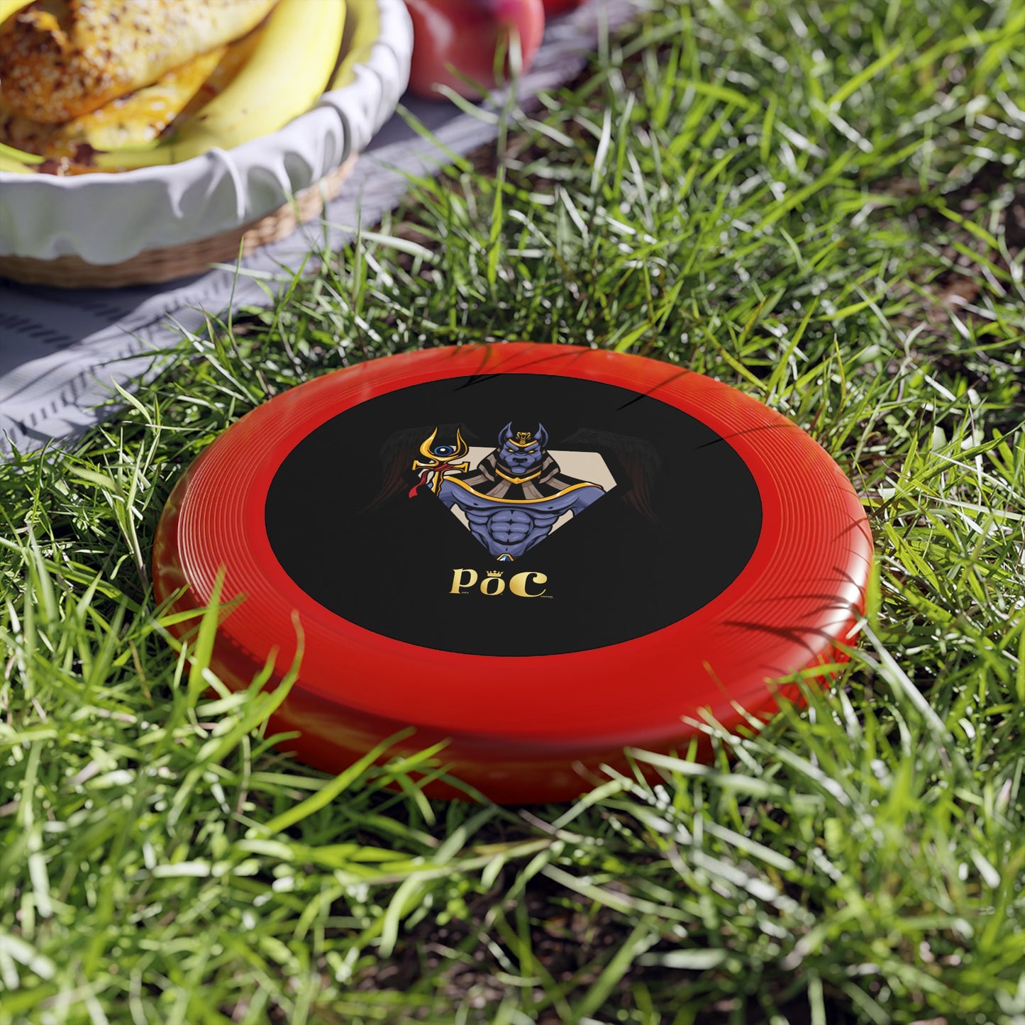 Personalizable Frisbee