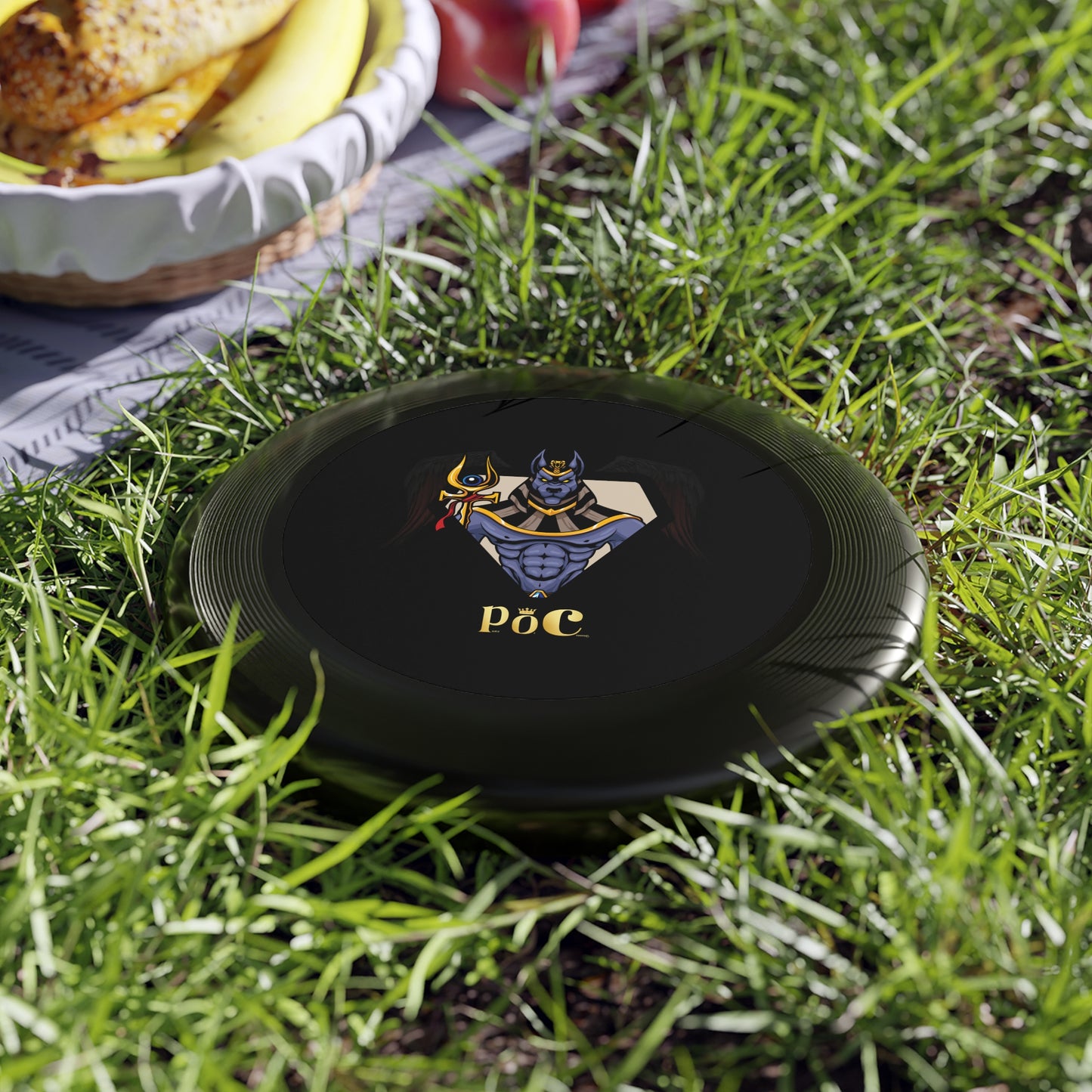 Personalizable Frisbee