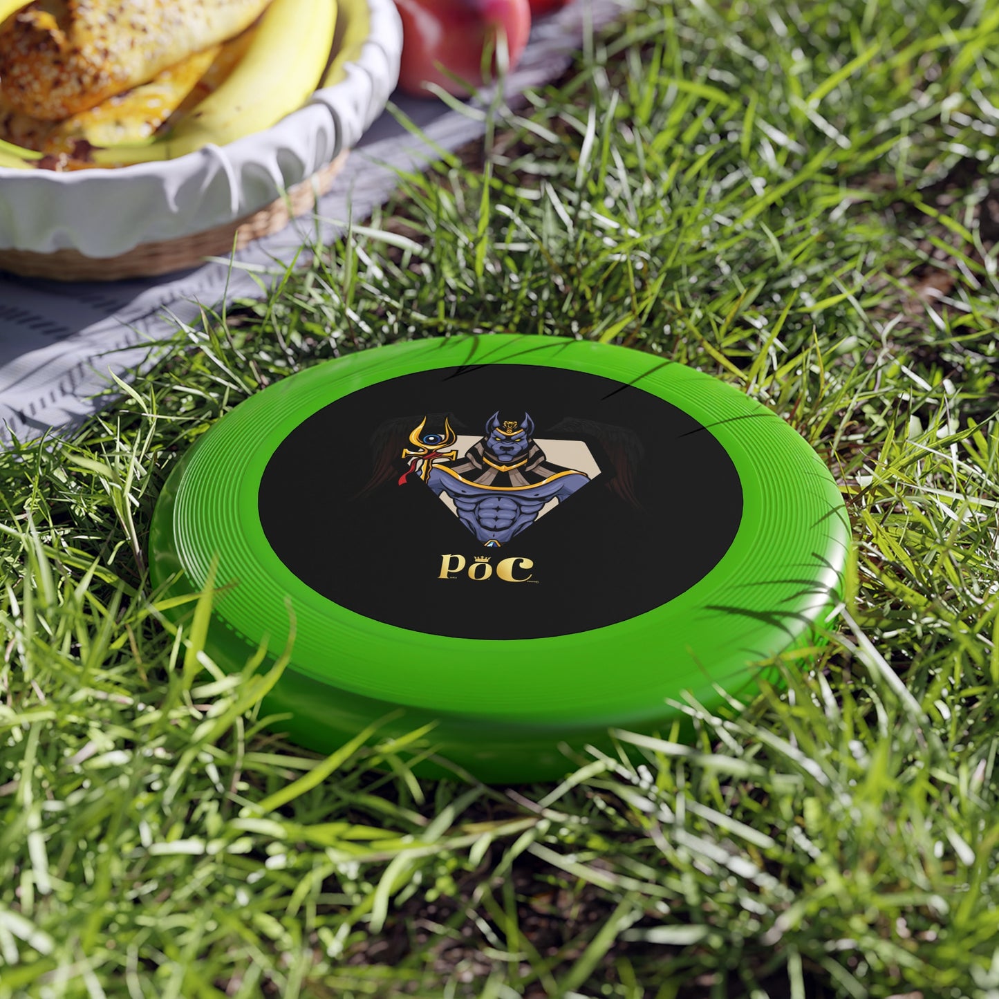 Personalizable Frisbee