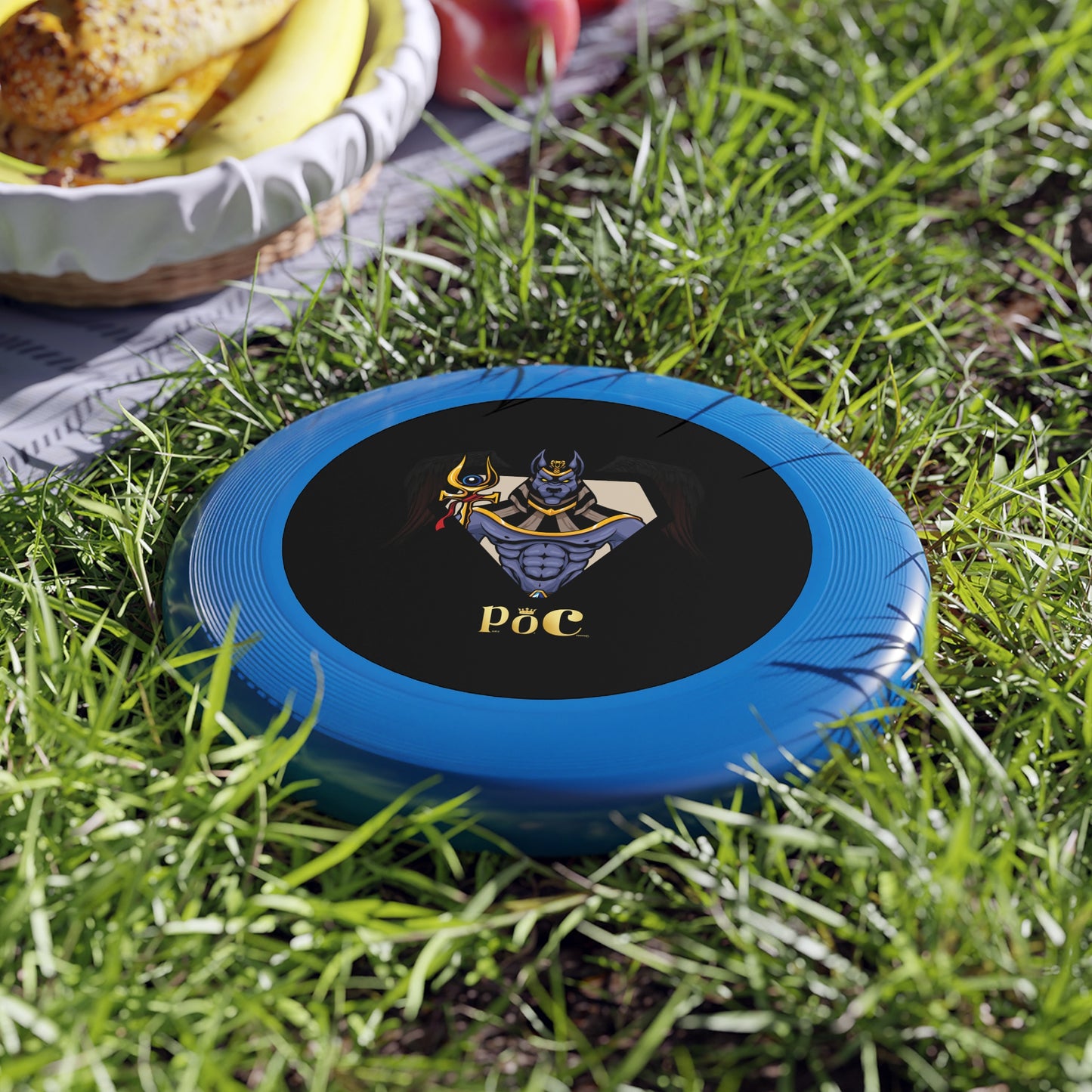 Personalizable Frisbee